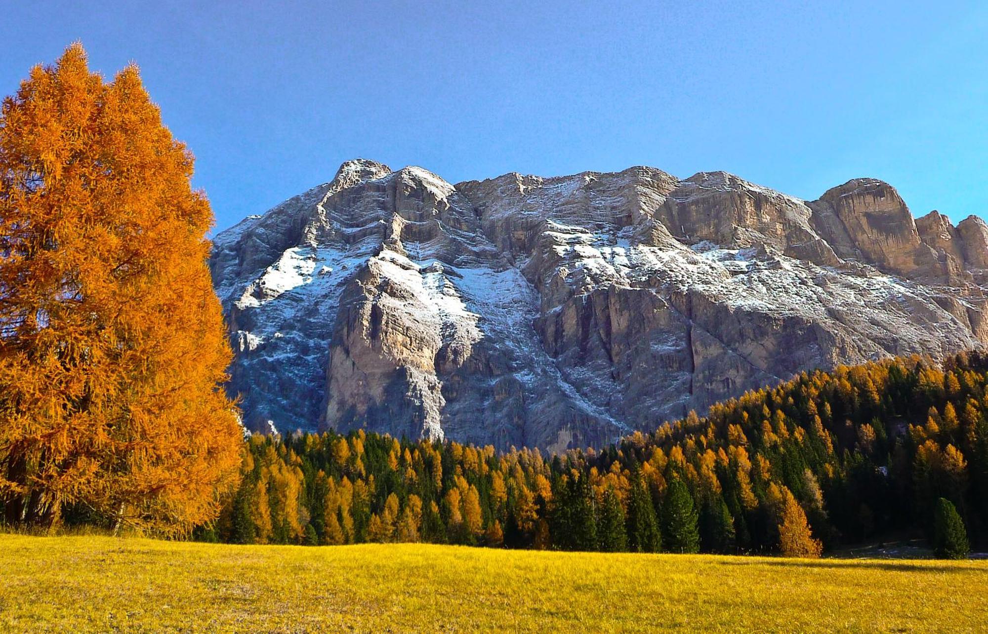 Apartment Ciasa Laoi San Cassiano  Dış mekan fotoğraf