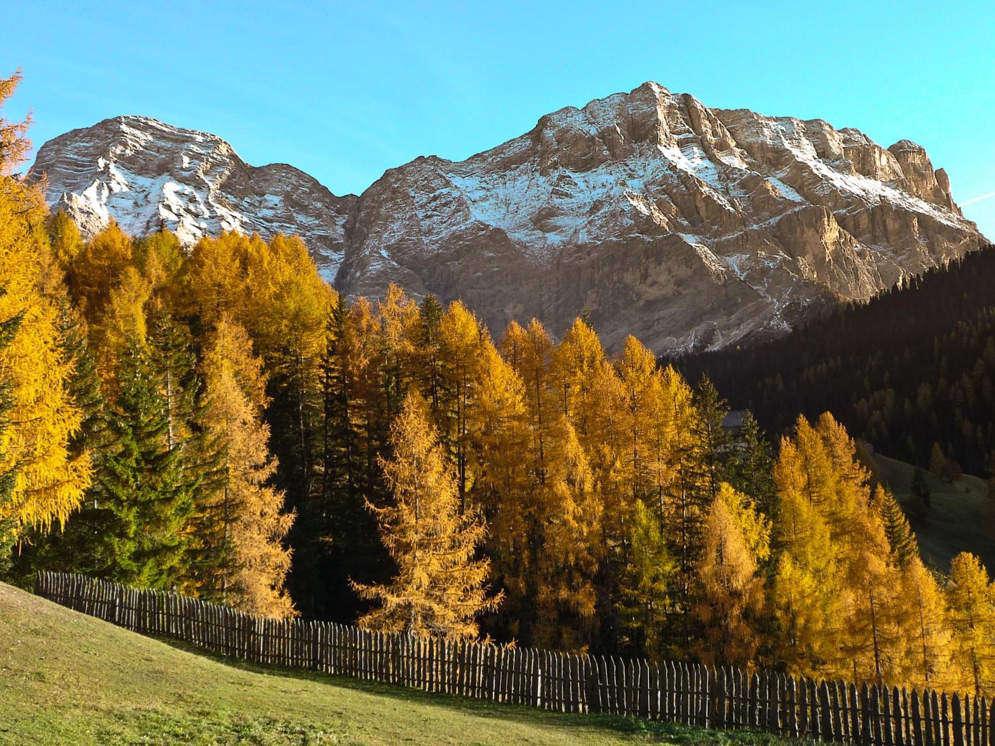 Apartment Ciasa Laoi San Cassiano  Dış mekan fotoğraf